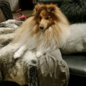 Meet your Posher, Lee